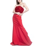 Picture of DRESS RED